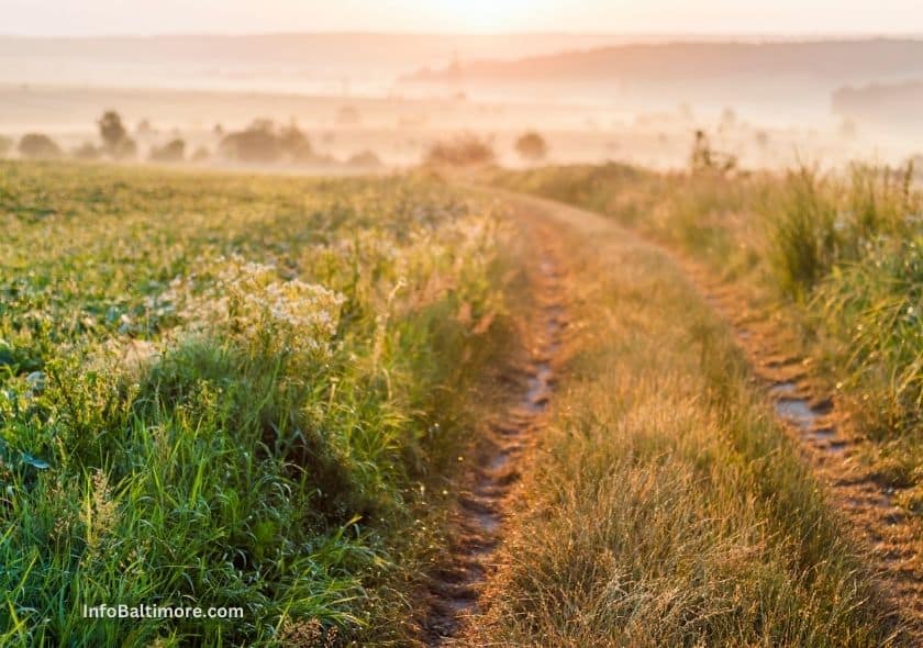 Soldiers Delight Natural Environmental Area Trail