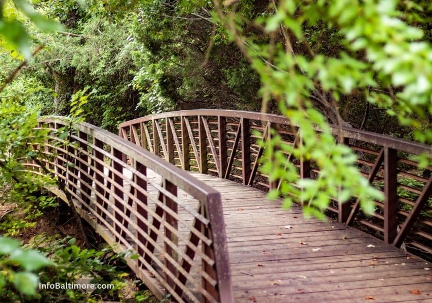 The Herring Run Trail The Baltimore Buzz