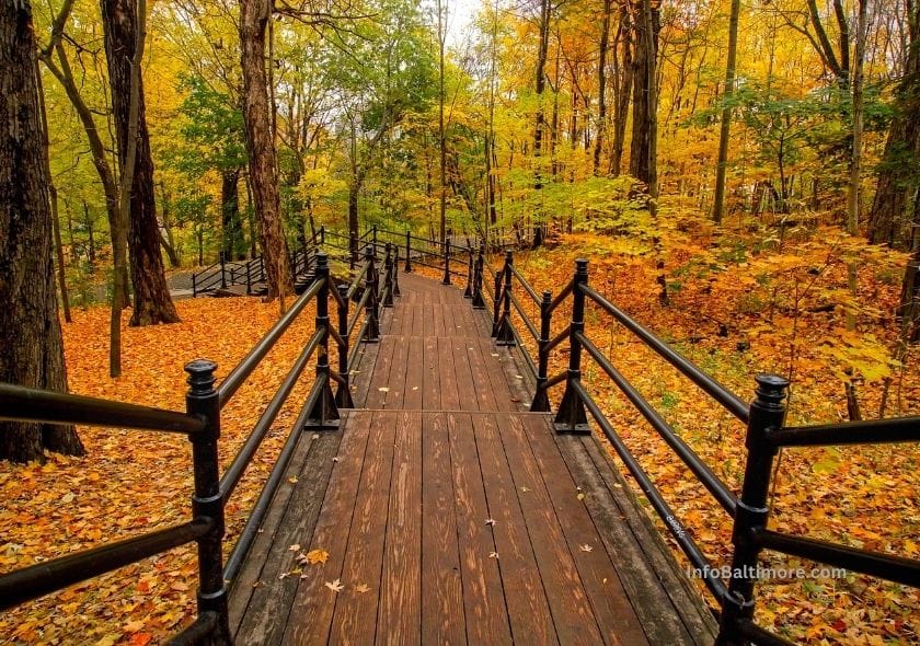 Gwynns Falls Trail The Baltimore Buzz